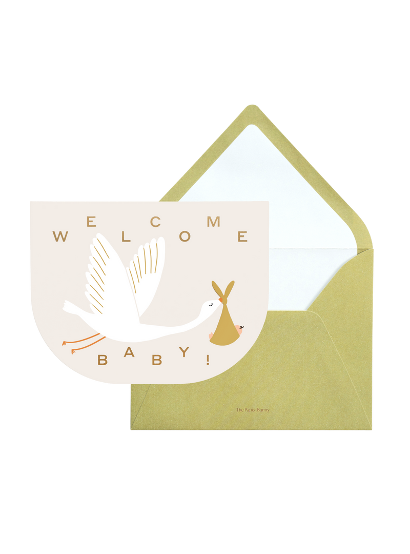 Welcome Baby Stork Greeting Card